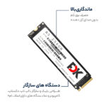 اس اس دی اینترنال فدک مدل B5 M.2 ظرفیت 256 گیگابایت